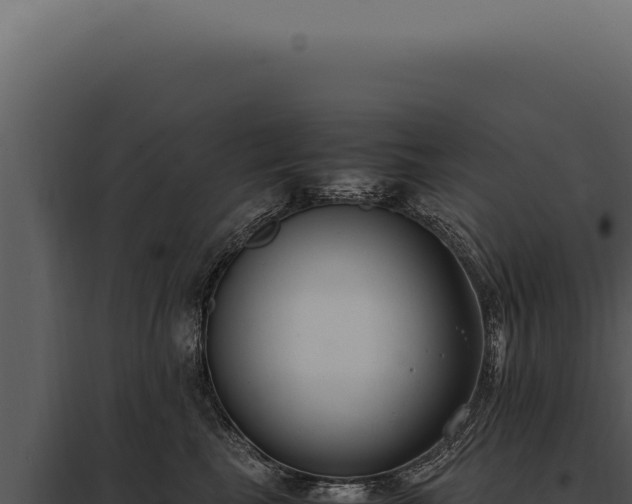X0000097980665200804011746