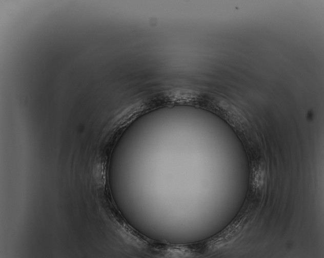 X0000097980666200804011746