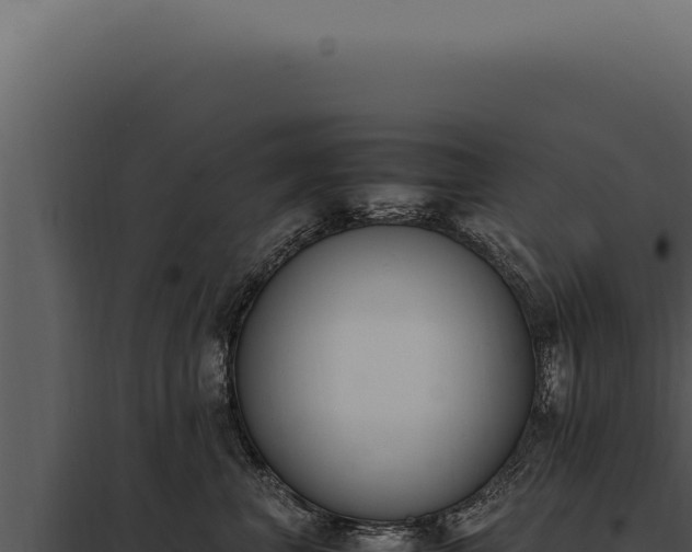X0000097980667200804011746