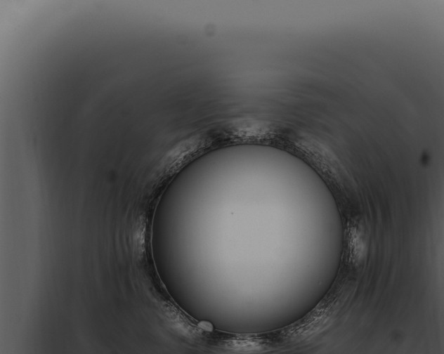X0000097980668200804011746