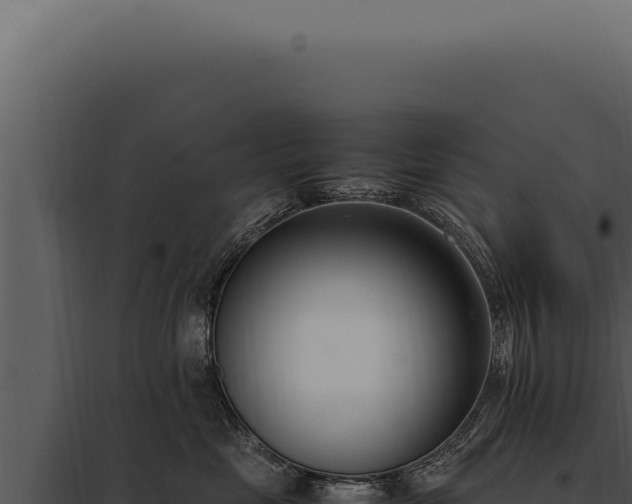 X0000097980669200804011746