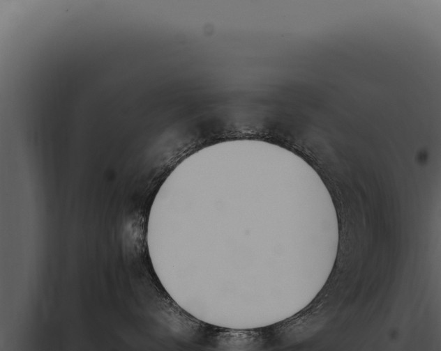 X0000097980672200804011746