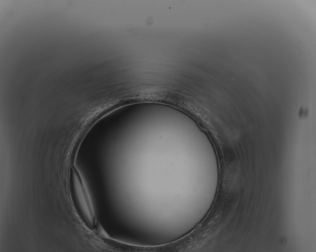 X0000097980673200804011745