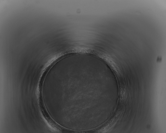 X0000097980674200804011745