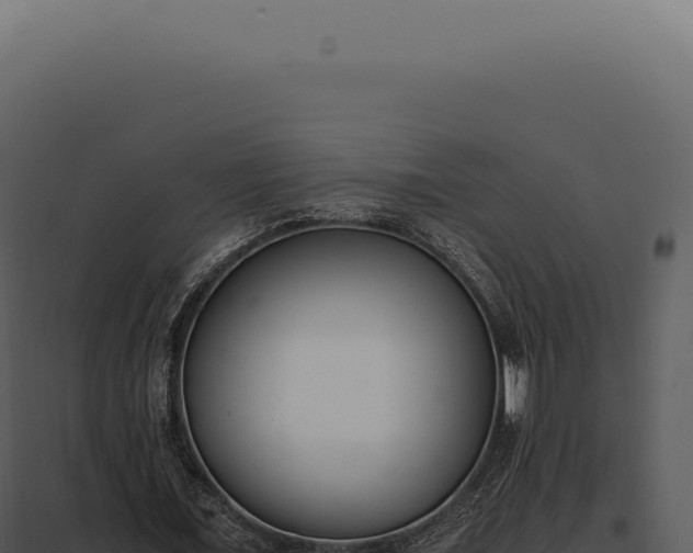 X0000097980675200804011745