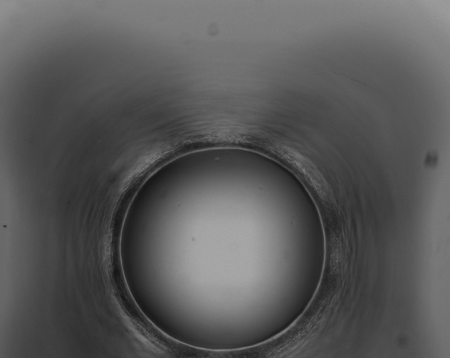 X0000097980677200804011745
