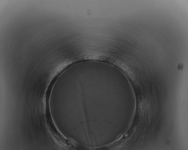 X0000097980678200804011745
