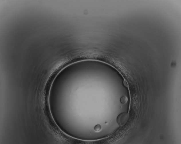 X0000097980679200804011745