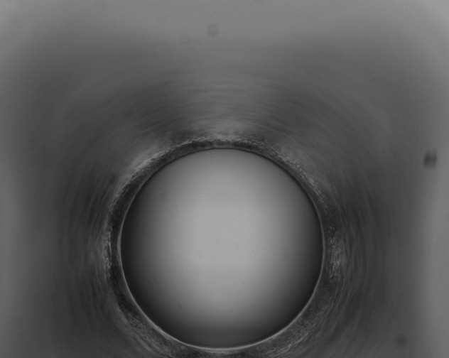 X0000097980680200804011745