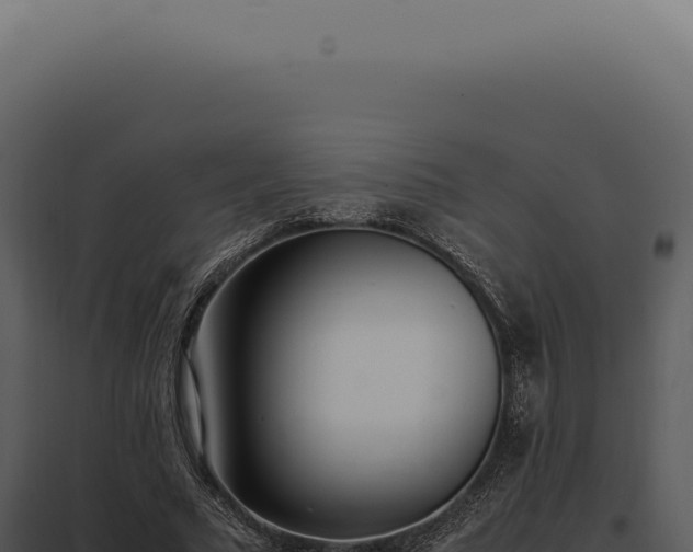 X0000097980681200804011745