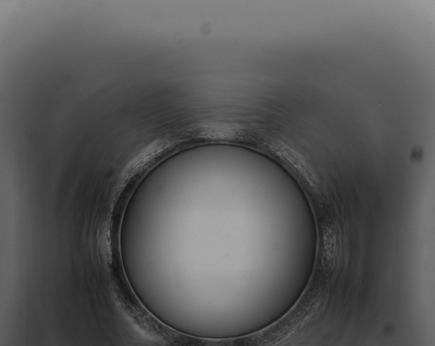 X0000097980682200804011745