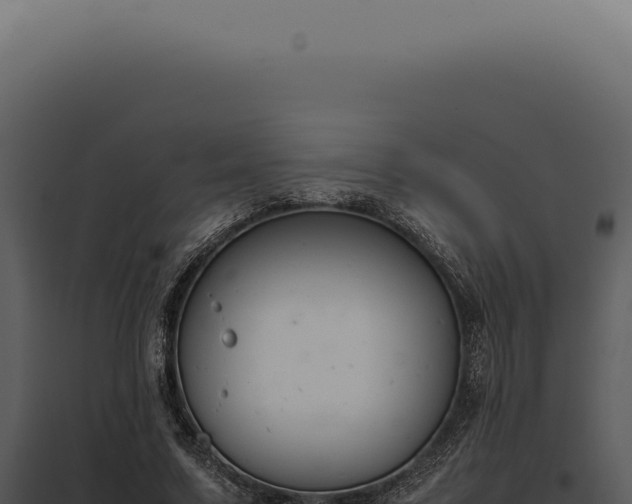 X0000097980683200804011745