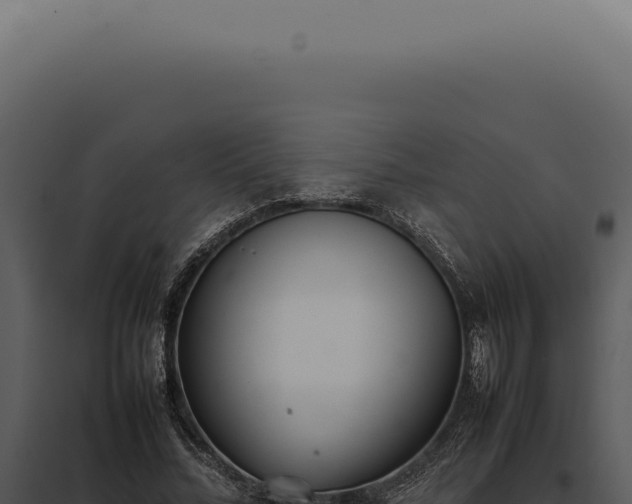 X0000097980684200804011745