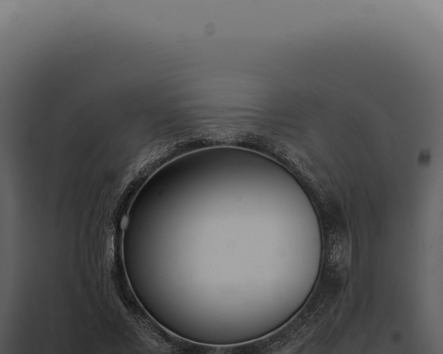 X0000097980685200804011745