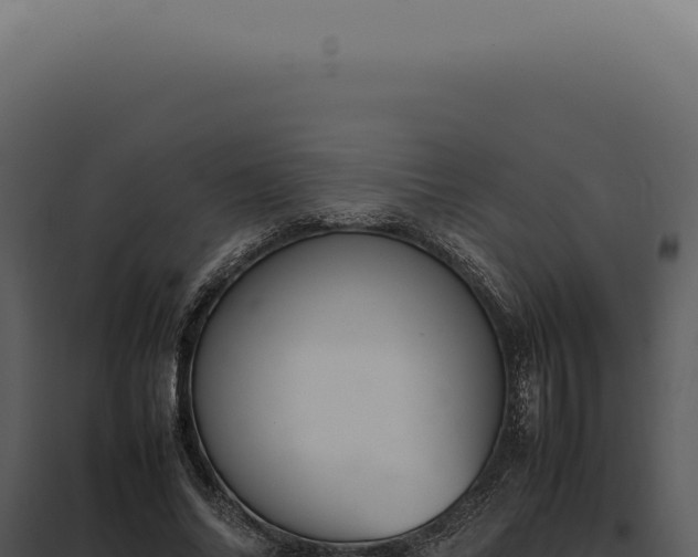 X0000097980686200804011745