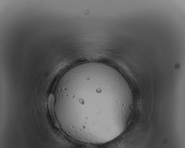 X0000097980687200804011745