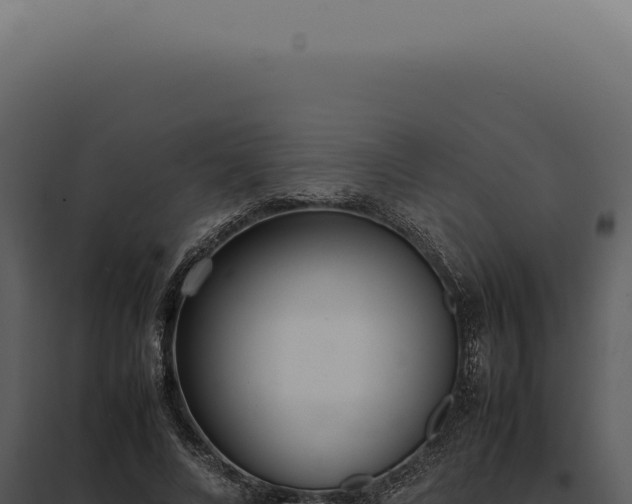 X0000097980688200804011745