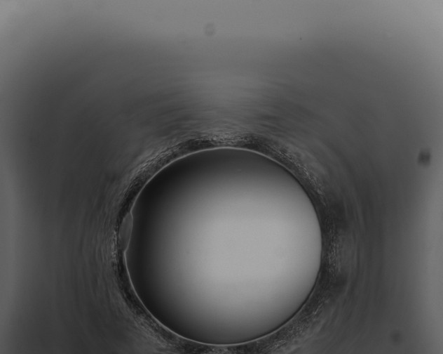 X0000097980689200804011745