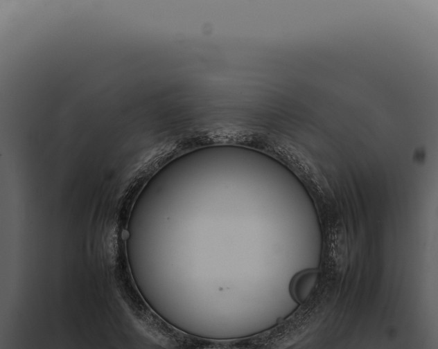 X0000097980690200804011745