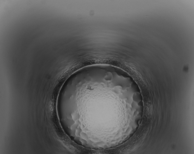 X0000097980691200804011745