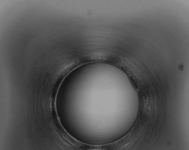 X0000097980692200804011745