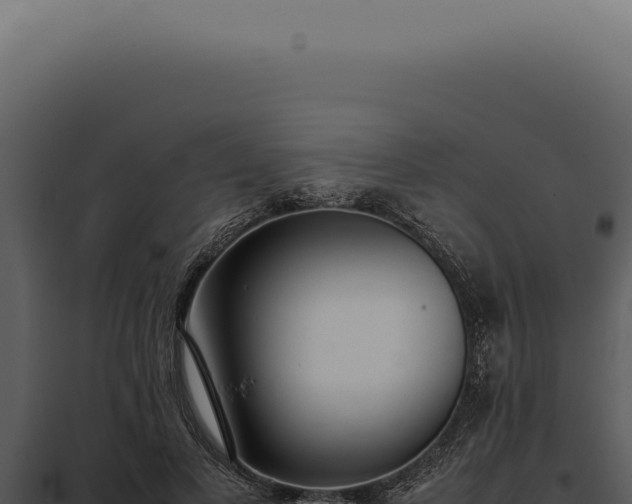 X0000097980693200804011745