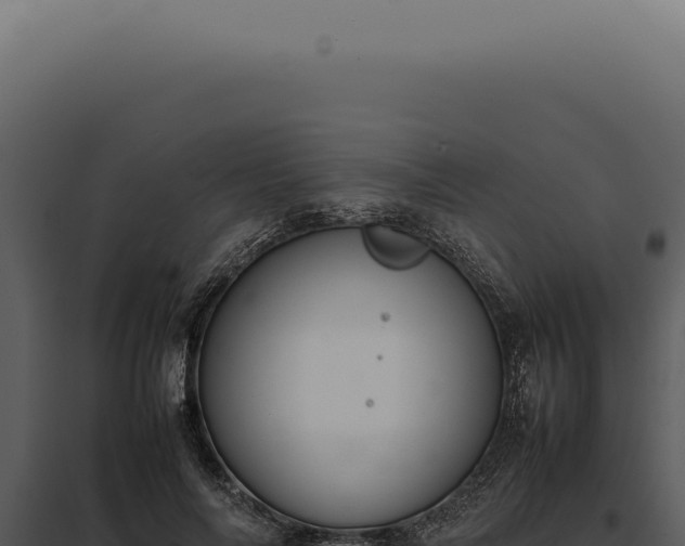X0000097980694200804011745