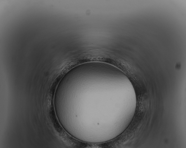 X0000097980695200804011745