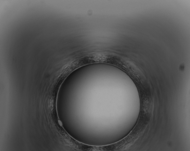 X0000097980697200804011745