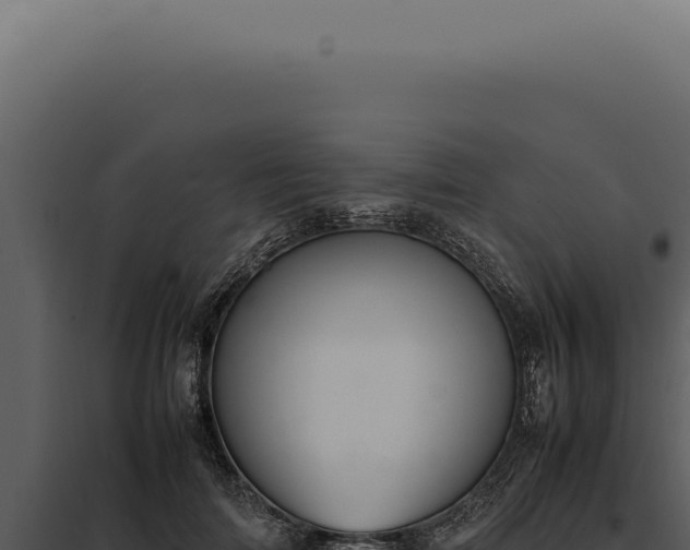 X0000097980698200804011745