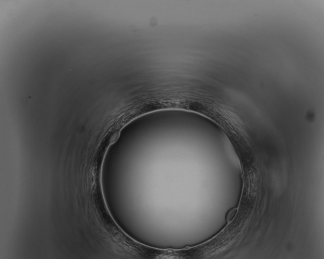 X0000097980699200804011745