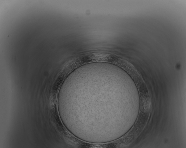 X0000097980701200804011745