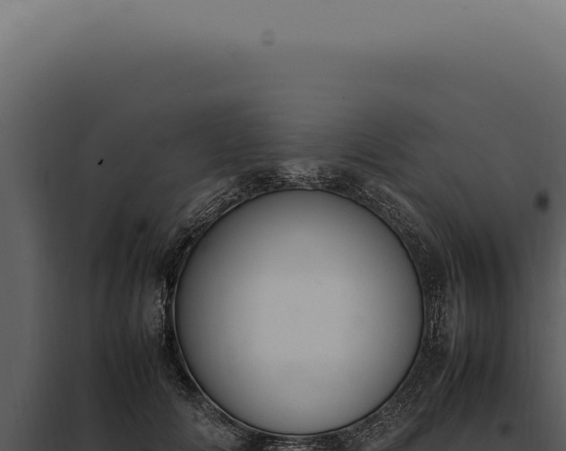 X0000097980702200804011745