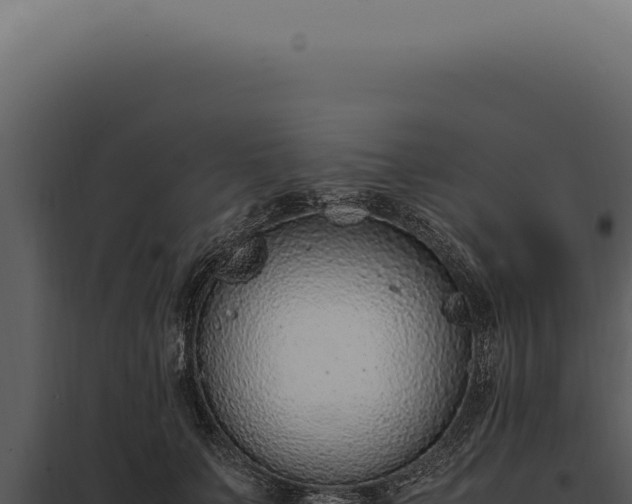 X0000097980703200804011745