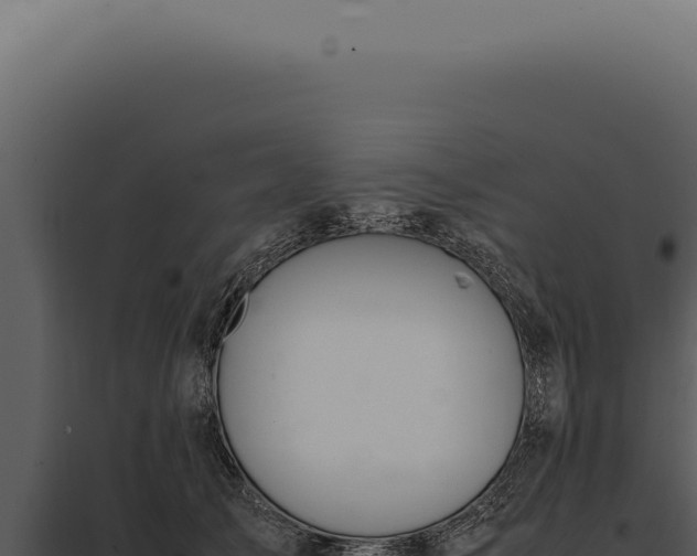 X0000097980705200804011745