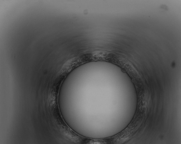 X0000097980706200804011745