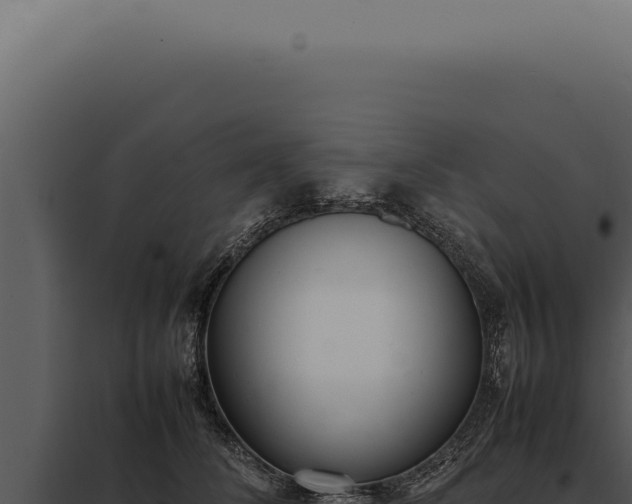X0000097980708200804011745