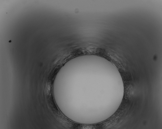 X0000097980709200804011745