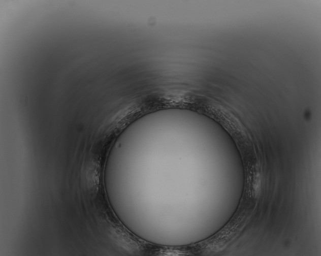 X0000097980710200804011745