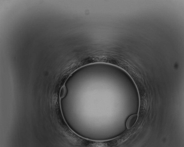 X0000097980711200804011745