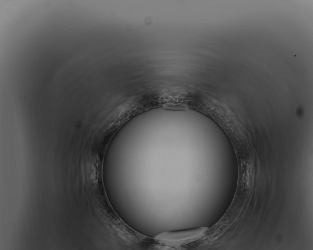 X0000097980712200804011745