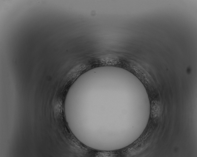 X0000097980713200804011745