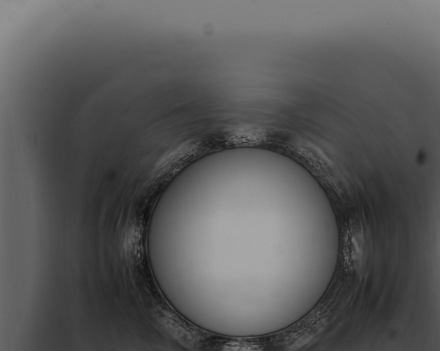X0000097980714200804011745