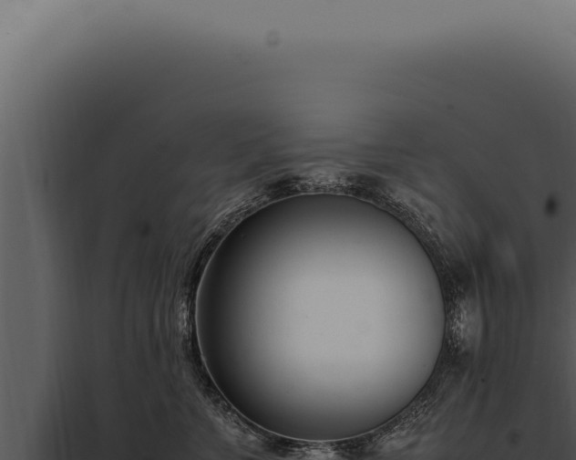 X0000097980715200804011745