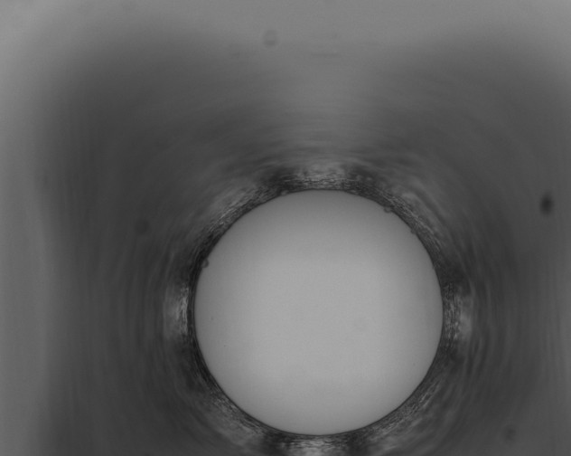 X0000097980717200804011745