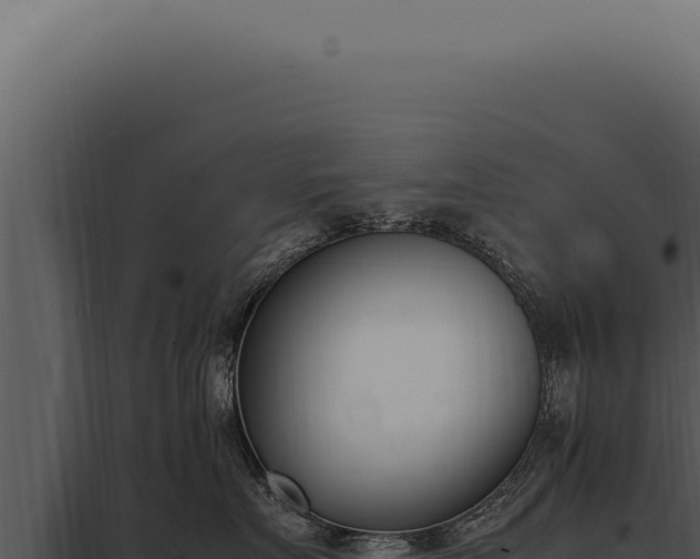 X0000097980719200804011745