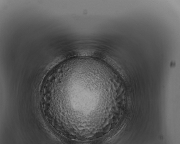 X0000097980721200804011744