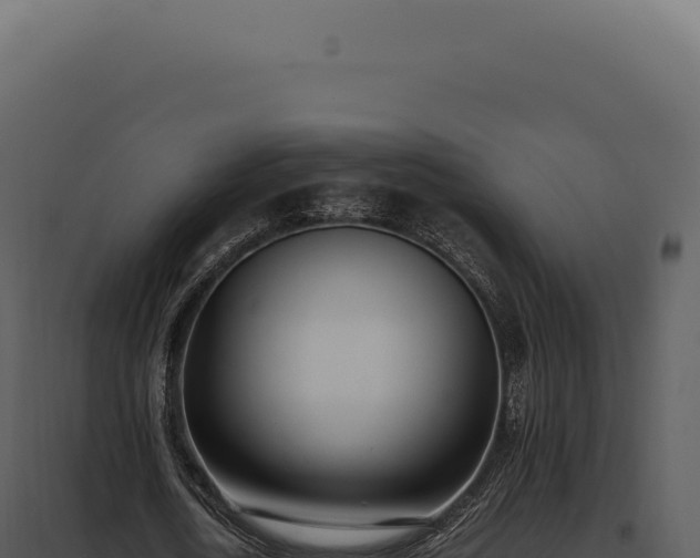 X0000097980722200804011744