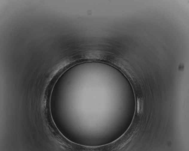 X0000097980723200804011744