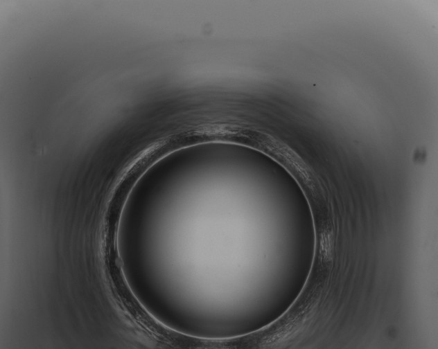 X0000097980724200804011744